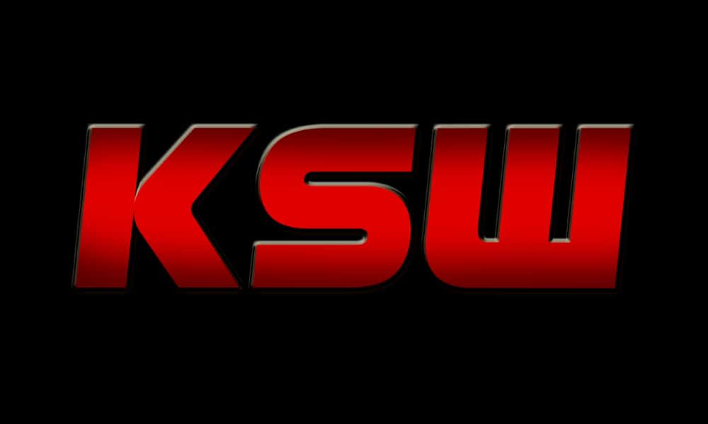 KSW 58: Daniel Torres nowym mistrzem kategorii piórkowej, karczemna awantura po walce Musaeva z Jurisiciem